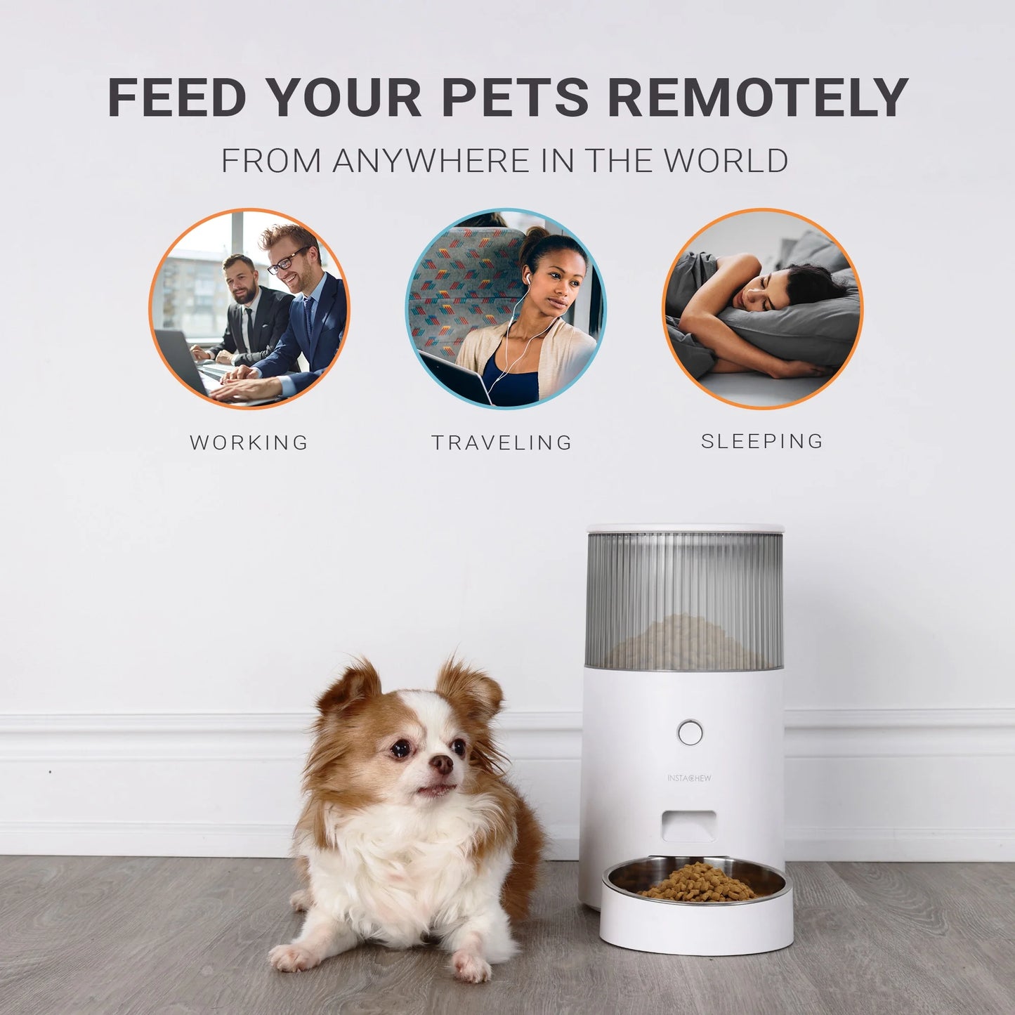 Purechew Mini Automatic Smart Cat Feeder, Smart Food Dispenser for Dogs and Cats